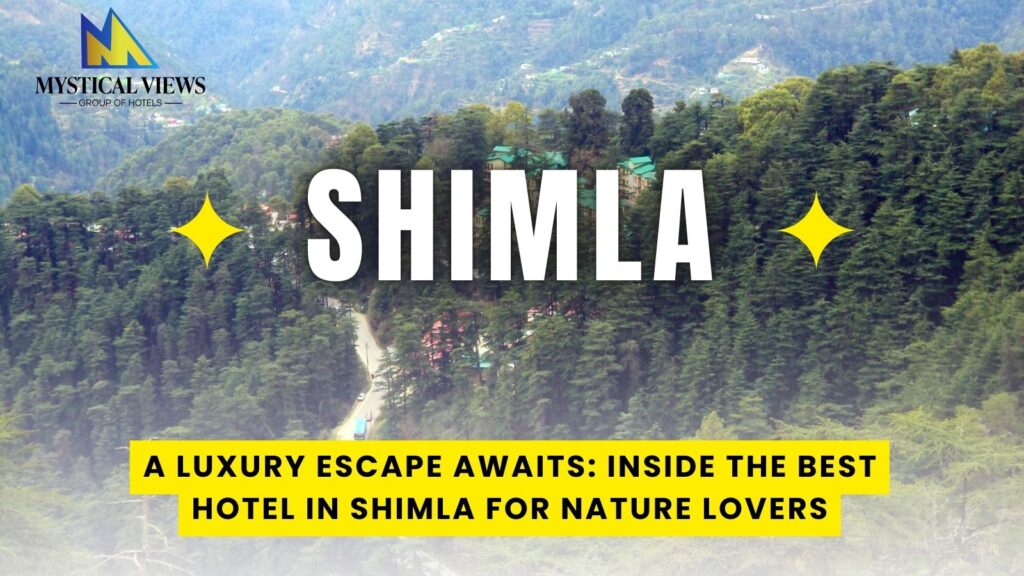 the destination that continues to win hearts as the best hotel in Shimla for those who crave a blend of natural serenity and high-end comfort.